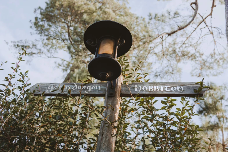 a street sign with a traffic light and trees in the background