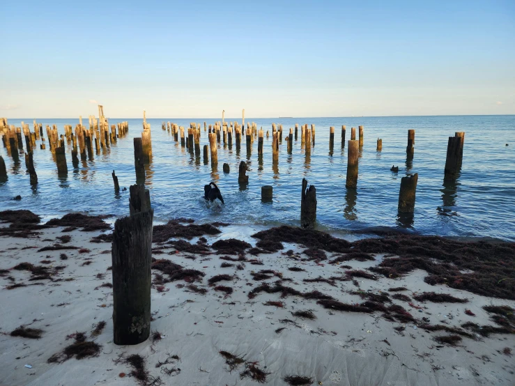 an ocean beach with old jetts in the water