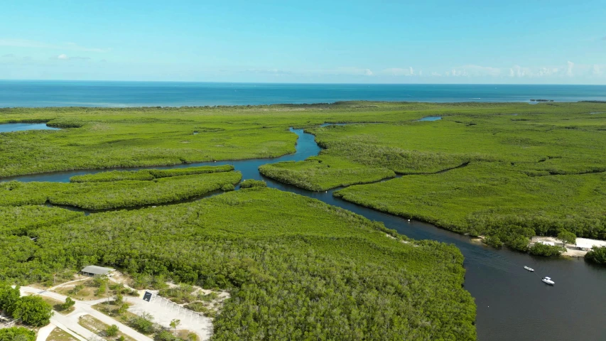 the aerial view of an area with different water channels