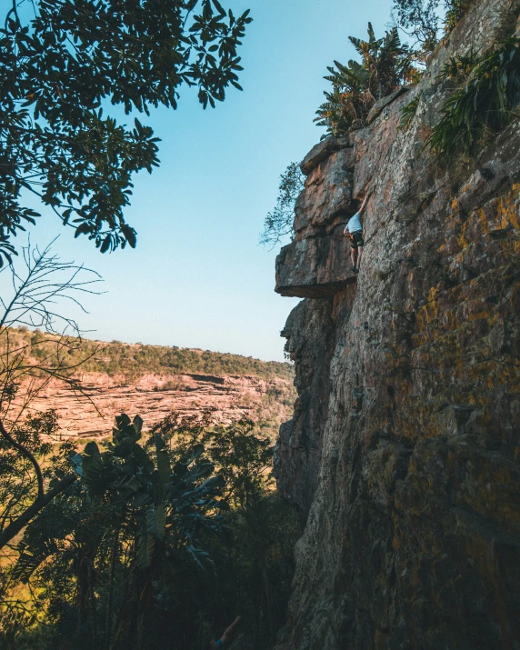 view over looking some cliffs and trees from the ground