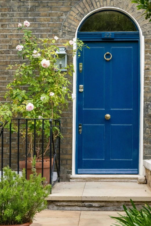 a blue door is closed next to a bush