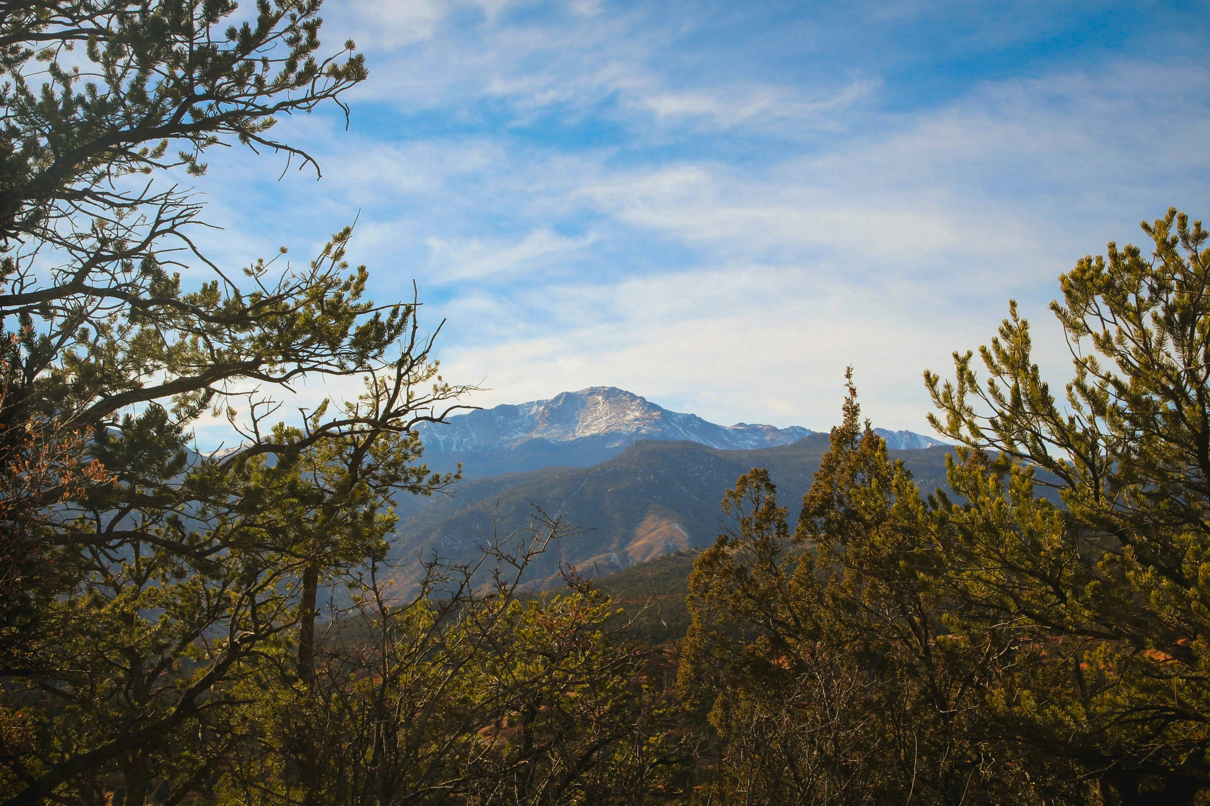 the view of mountains from a trail in the forest