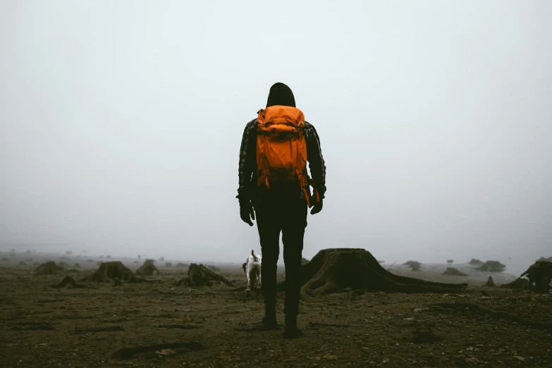 man with yellow backpack standing in foggy field