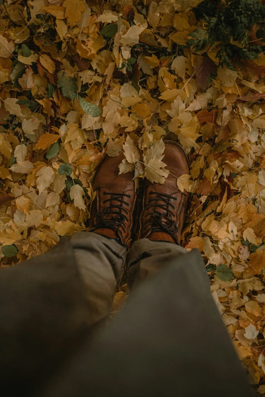 a person's legs sticking out from under a leaf covered ground