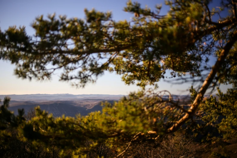 a picture taken from the back of a mountain