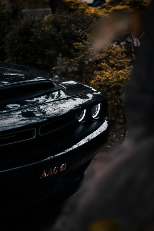 a dodge car with the lights turned on sitting by bushes