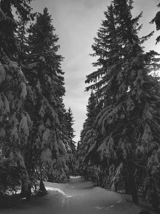 a person riding skis down a snow covered slope