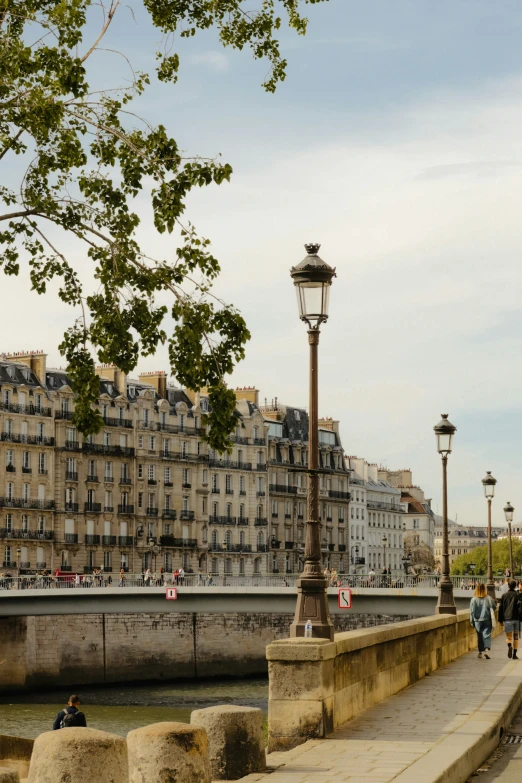 pedestrians are walking across the bridge in paris