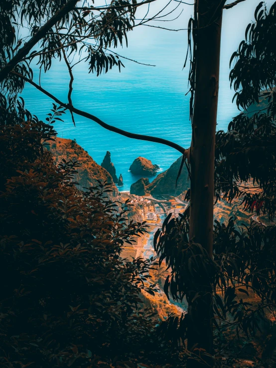 the ocean is shown through trees by the rocks