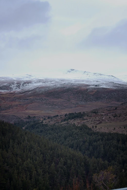 a view of a snow covered mountain and a field