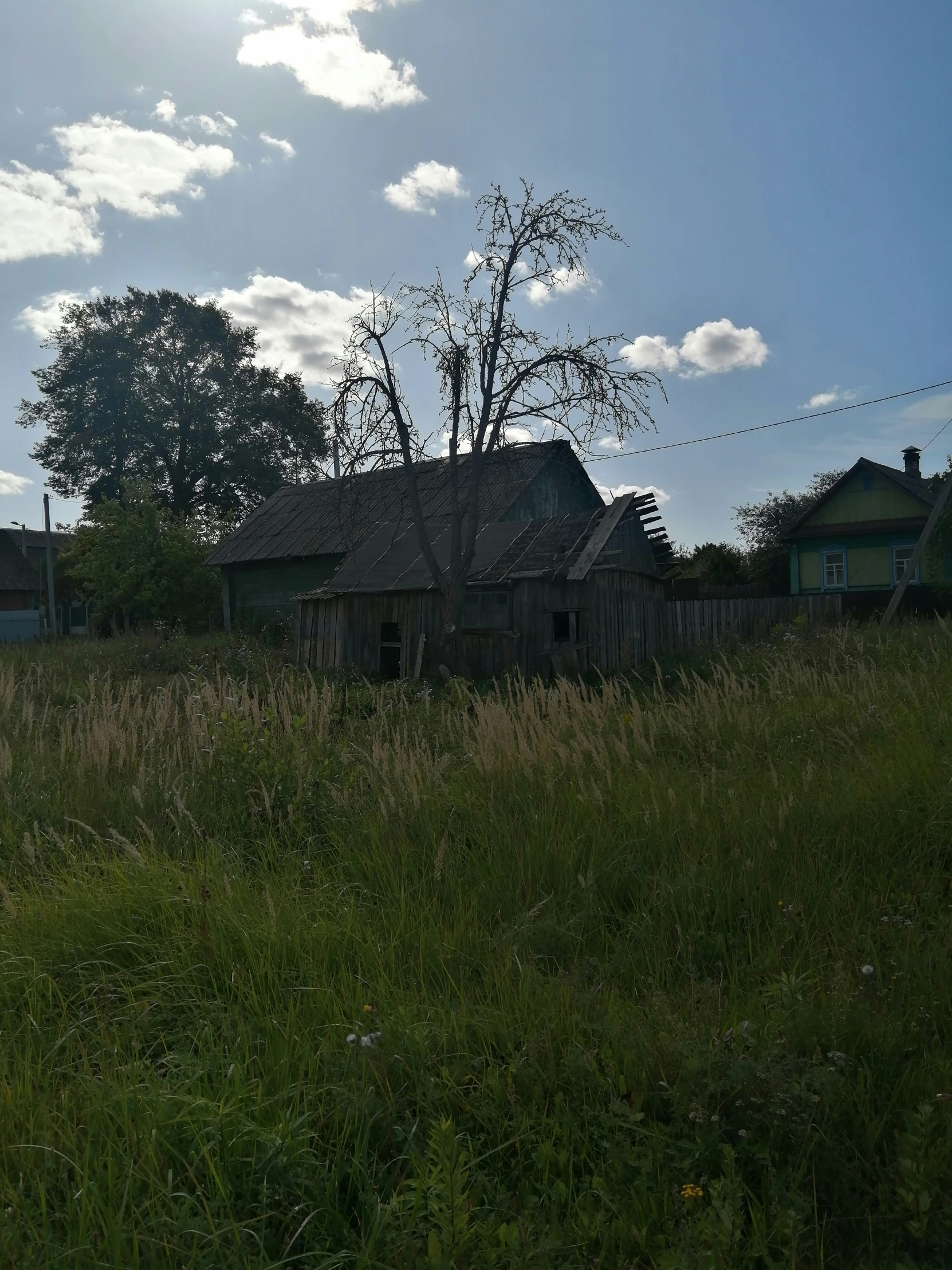 some grass and a building with wires in the background