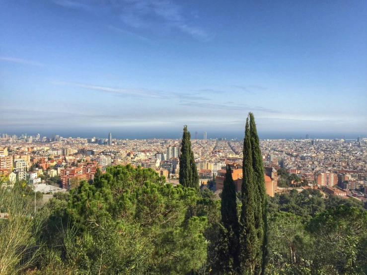 the city from the top of a hill