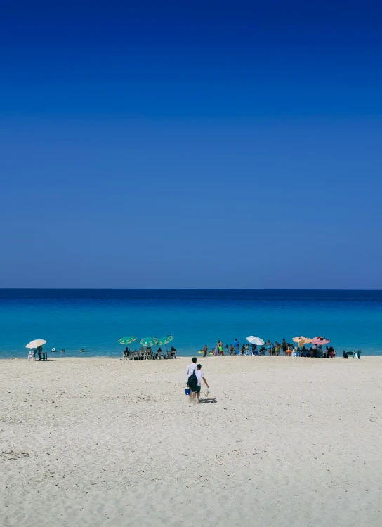 a beach with several people standing on it