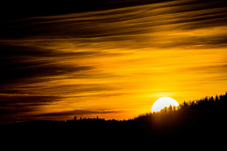 the silhouettes of trees against a cloudy sky