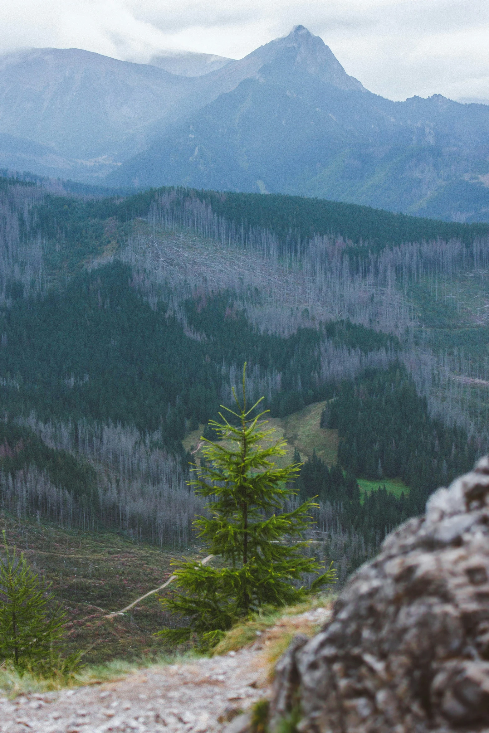 an image of a mountainous landscape from a high point