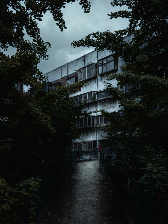 a po of someone walking down a pathway in the rain