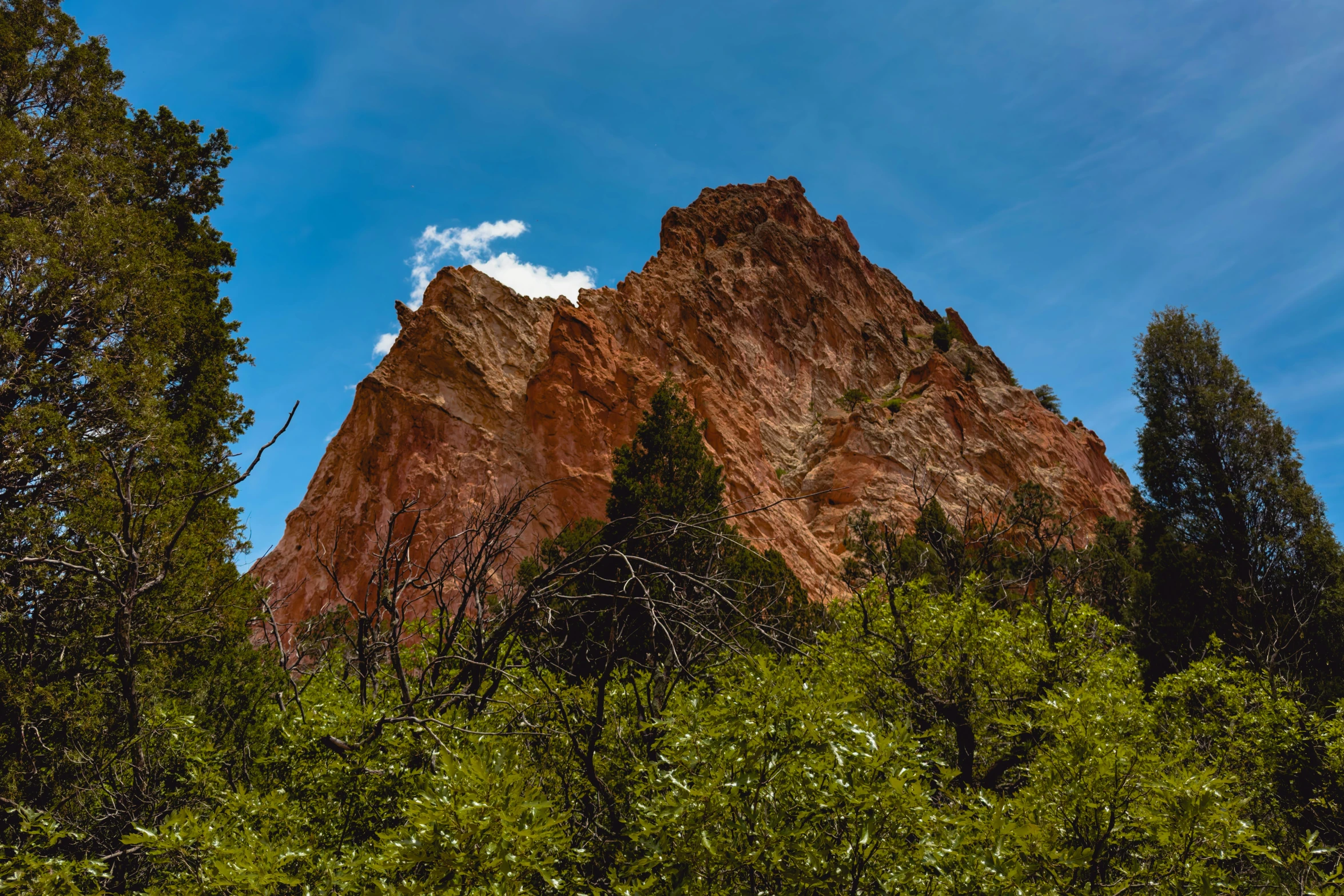 the mountain side with trees and blue sky