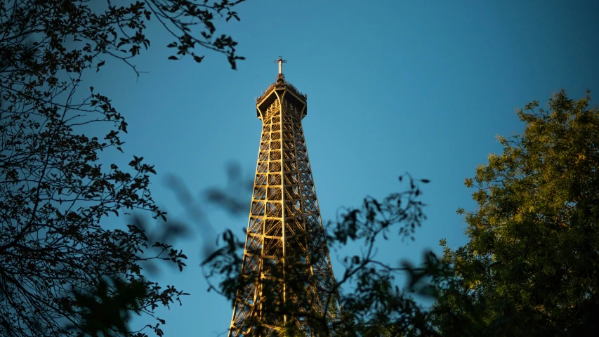 the eiffel tower at night with trees around it