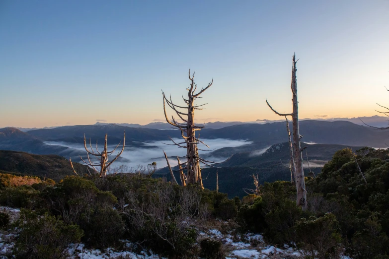 trees stand on the mountains and clouds hover in the distance