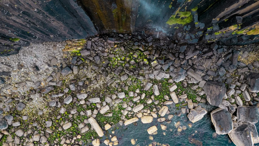 an aerial po of green moss growing between rocks