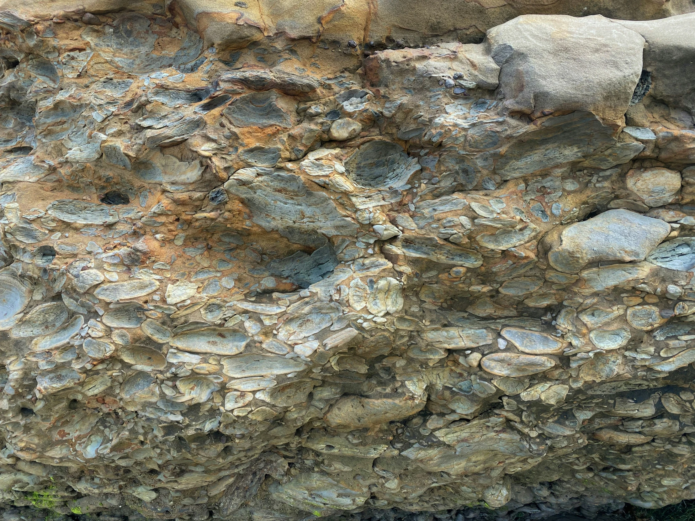 a bird perched on top of a rock cliff