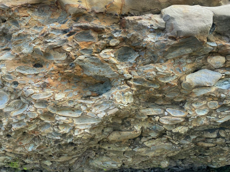 a bird perched on top of a rock cliff