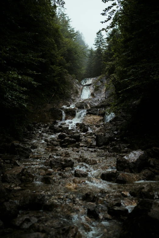 stream and rock path in rain soaked forest