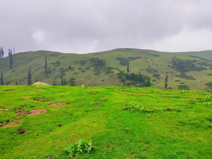 a lush green field with mountains in the background