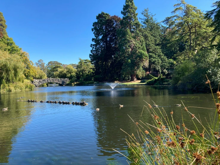 the river flows through the center of a park with ducks in the water