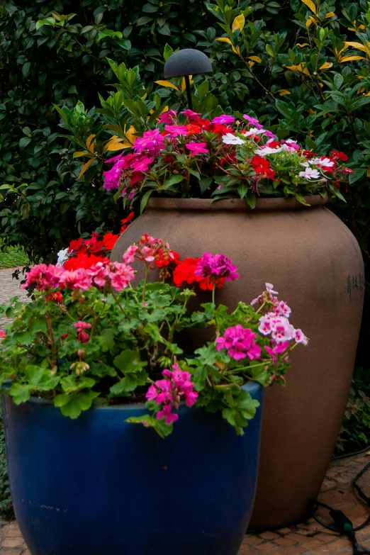 flowers that are growing out of a large pot