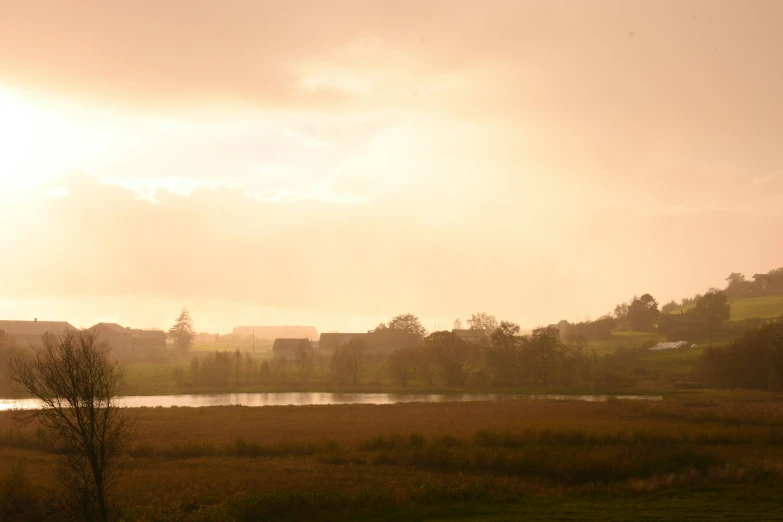 a person with an umbrella walks through the park