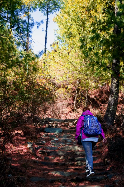 a woman walks up a trail in the woods