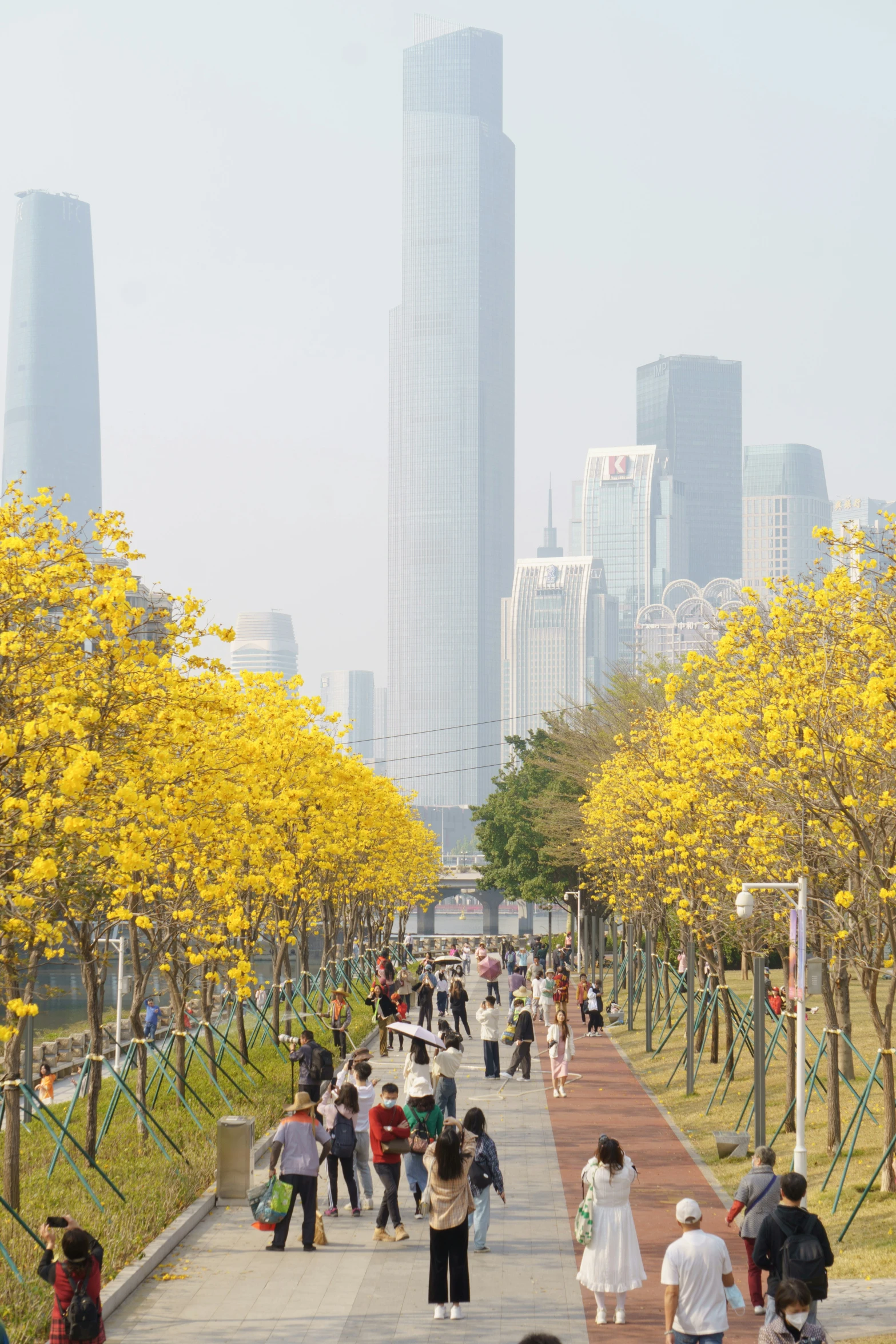 a bunch of people are walking along a sidewalk by some trees