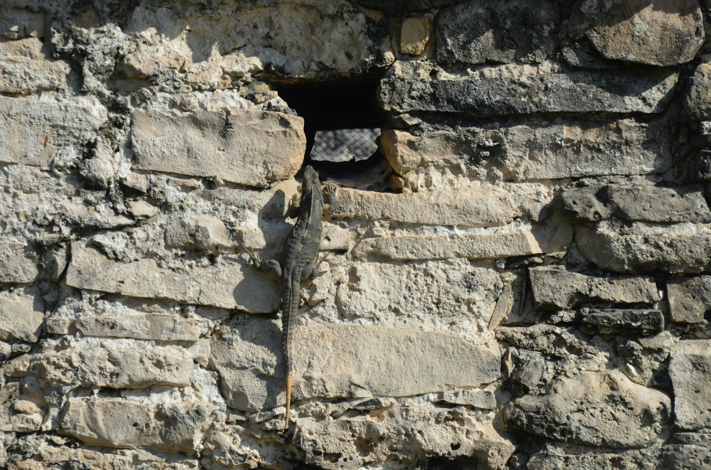 a window in the wall of a stone house