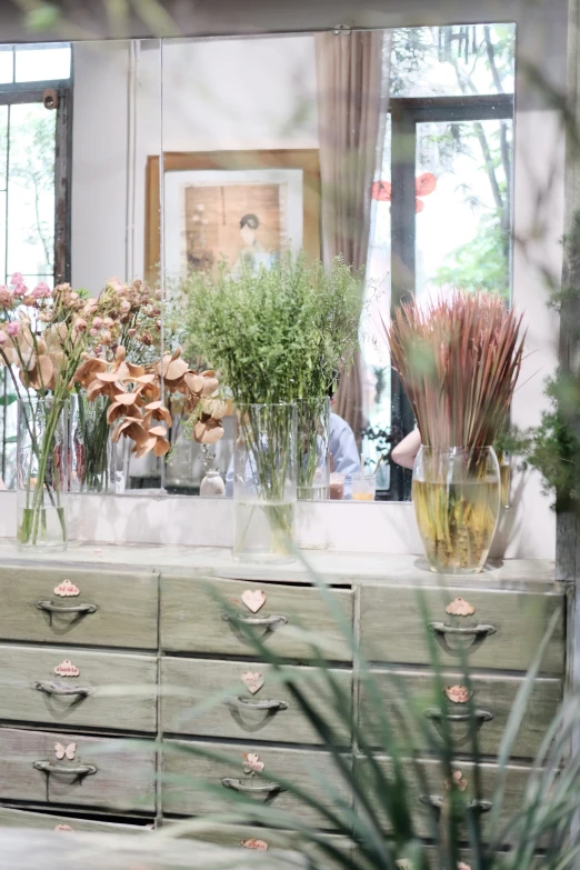 a dresser is covered in lots of different plants