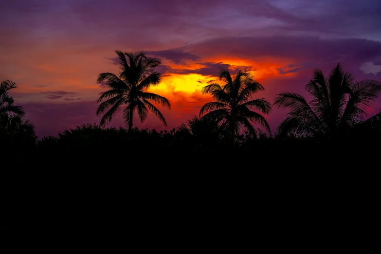 a sunset view from a tropical resort