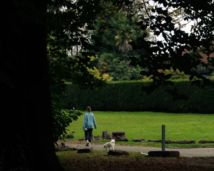 a woman walking her dog in the grass