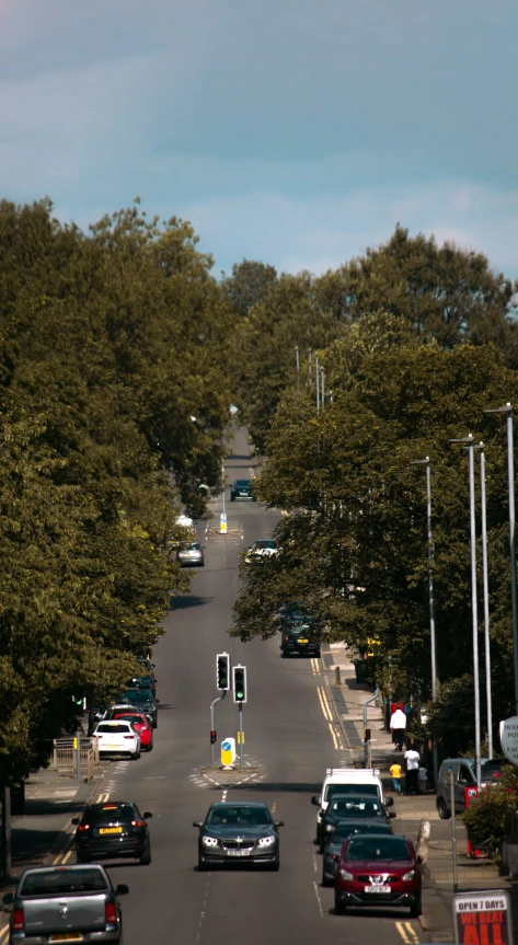 a busy street lined with green trees and lots of traffic