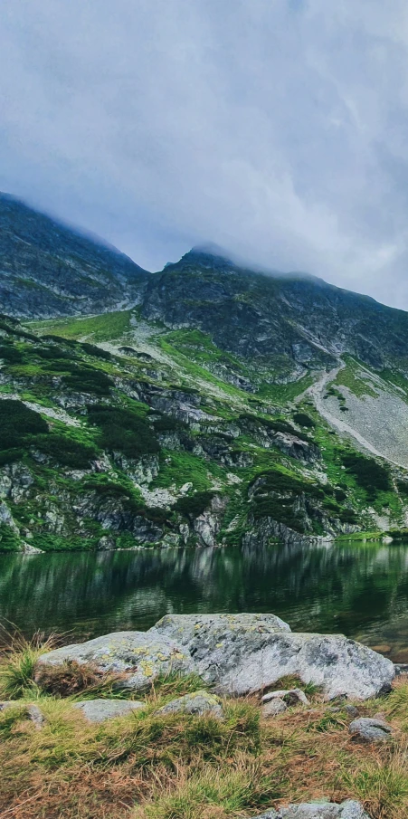 an animal is standing in the grass by a lake