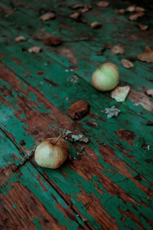 a pair of apples on a wooden surface