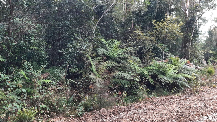 an area that has fallen apart with some plants growing on the sides