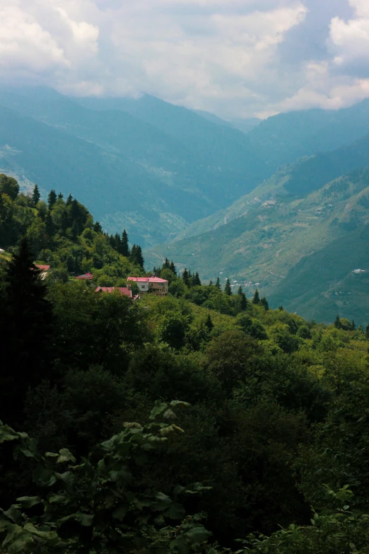 the view of a mountain and some trees