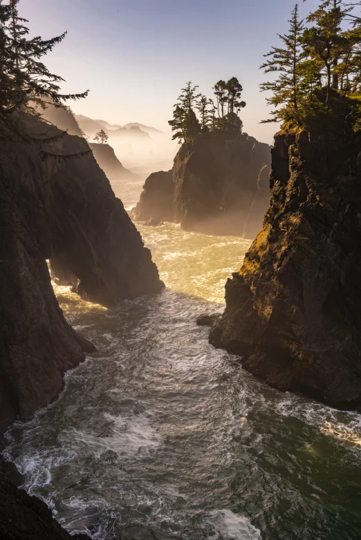 a river flowing through a canyon surrounded by tall pine trees