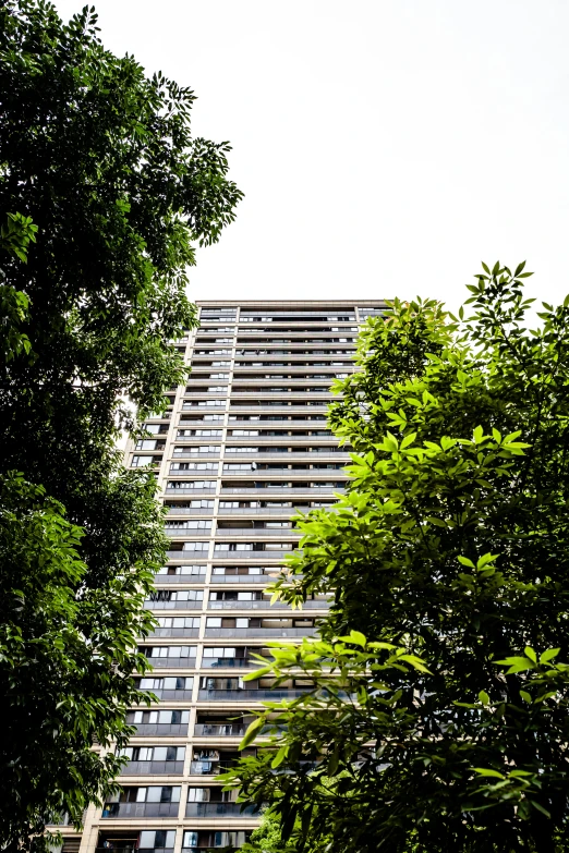 the top of the building is high above a tree