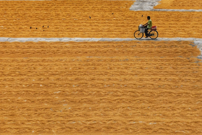 a man rides a bicycle in a field