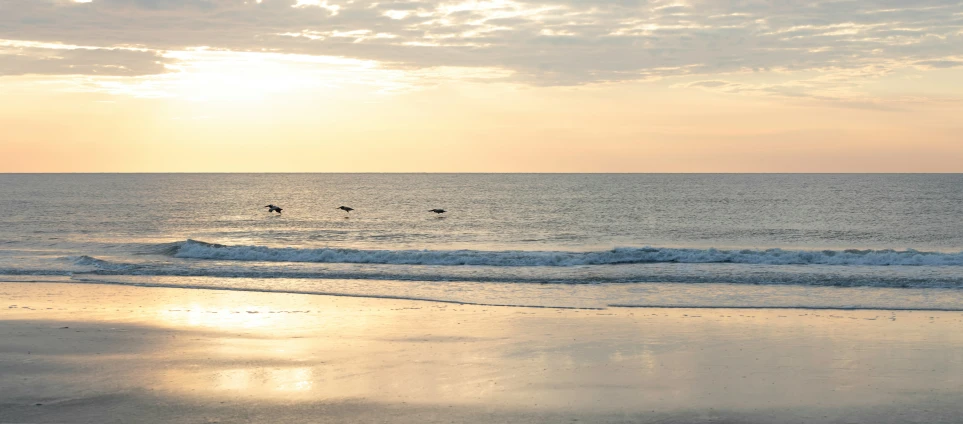 an ocean view with people surfing in the water