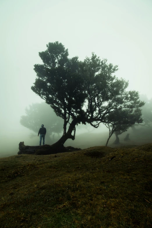 there is a man standing next to a tree