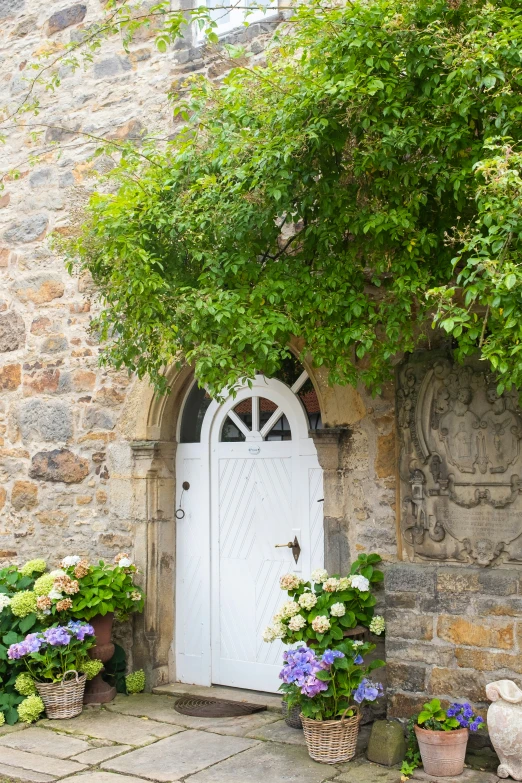 white door in an old brick house with many pots of flowers on the ground