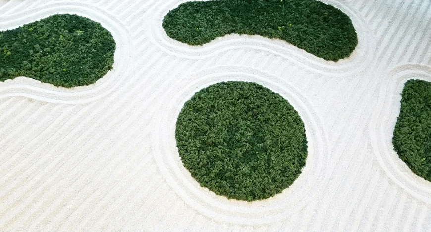 some grass and some circles on a sand area