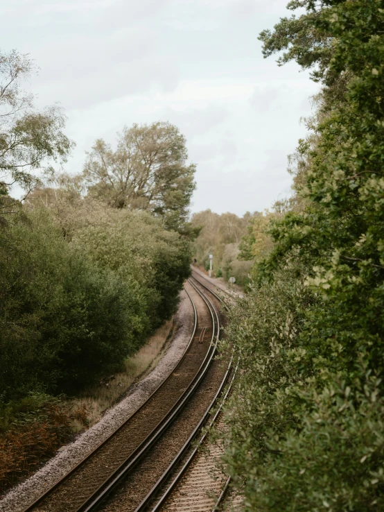 some train tracks near some trees and bushes